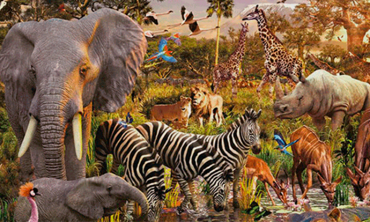 Dünyanın En Güçlü Hayvanı Hangisidir?