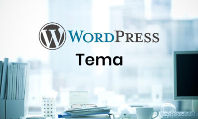 En İyi WordPress Temaları